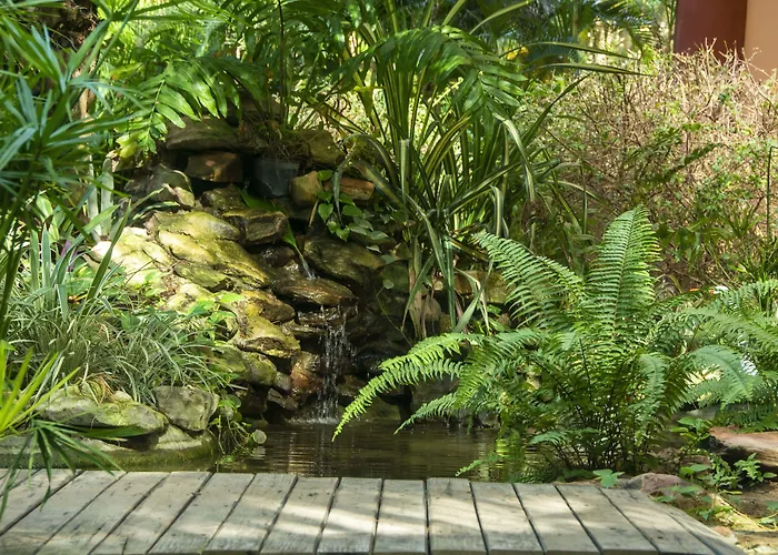 Resort Costa Dos Coqueiros